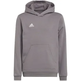 Adidas Entrada 22 Hoody Grey H57515 128Cm