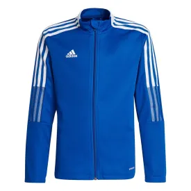 Adidas Tiro 21 Track Blue Gm7315 116Cm